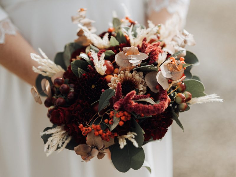 maxime pavageau photographie-10